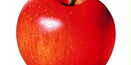 美国苹果产量小幅增长，出口下降趋势有望逆转