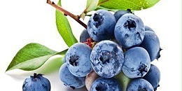上半年秘鲁鲜食蓝莓出口飙涨42%