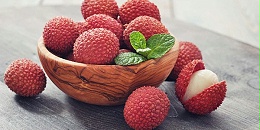 日本企业高度赞赏越南清河荔枝种植区