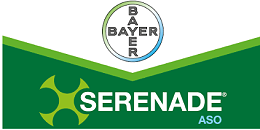 拜耳枯草芽孢杆菌生物杀菌剂Minuet®在加拿大获登 用以防治马铃薯及其他蔬菜作物的土传病害