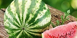 4万余吨缅甸西瓜通过畹町口岸出口中国