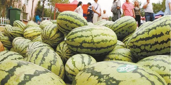 微信截图_20230407091834