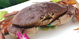 美国华盛顿州珍宝蟹产量增长50%以上，价格缩水三分之二