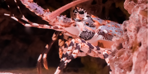 微信截图_20230407084326