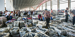 中国海鲜市场将会越来越依赖进口海产品