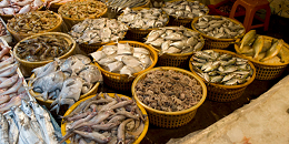 中国海产品的购买力将成为越南出口商的贸易引擎