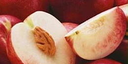 超3万吨！中国连续两年成为智利油桃最大出口市场