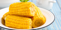 美国专家：墨西哥将无法承担禁止美国转基因玉米的后果