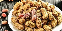 塞内加尔2022-2023 年花生行业产量下降 10.5%