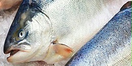 越南海产品出口持续下滑，头部生产商利润大幅缩水