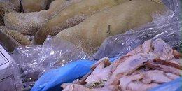 海上走私冻品？严查！