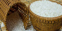 俄罗斯联邦农业部维持年度粮食出口5500万吨以上的预测