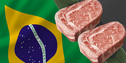 2022年巴西牛肉出口增长42%