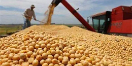 2022年巴西粮食总产量创历史新高