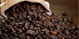 哥斯达黎加5月咖啡豆出口量同比下降35.4%