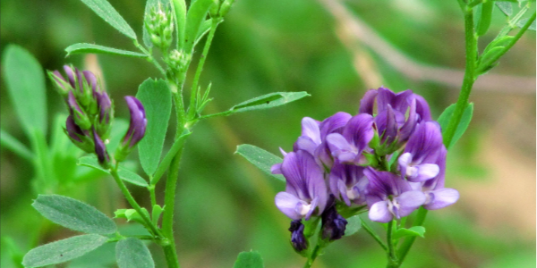 QQ截图20221221105656