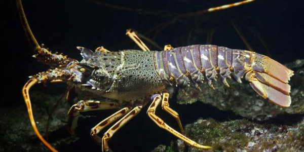 微信截图_20230128103855