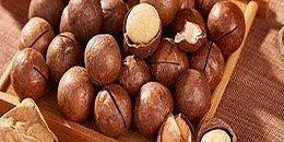 南非夏威夷果产量再创新高，2027年全球产量或超50万吨