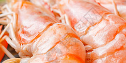 墨西哥虾重返美国市场