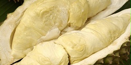 泰国银行敦促泰国榴莲生产升级