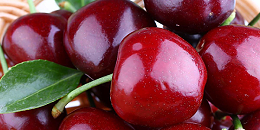 智利樱桃产量有望达50万吨，出口超44万吨