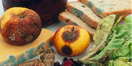 欧盟准备更改食品标签规定!"过期"食品也能吃