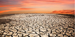 干旱或造成2022/23年度阿根廷谷物及油籽产量降至20年最低