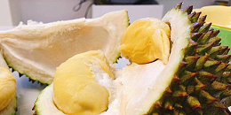 越南榴莲出口有望实现“爆发式”增长