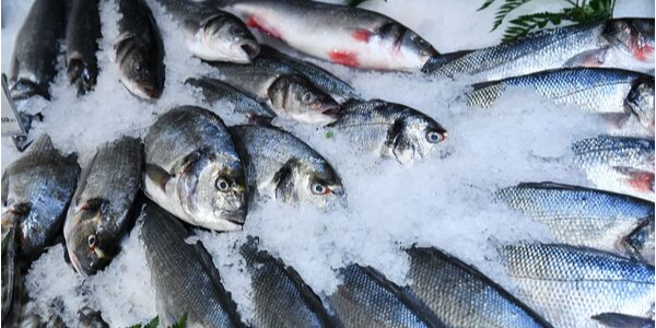 微信截图_20230210100339