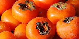 阿塞拜疆成为世界前三大柿子生产国和出口国之一