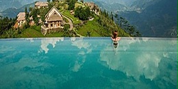 海关即将赴越检查种植园，越南椰子有望获得正式准入