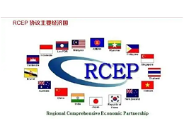 放宽原产地规则为越南水产业开辟区域全面经济伙伴关系协定的市场
