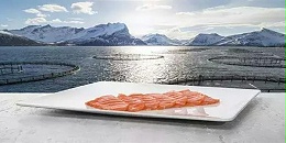 中国为挪威海产品出口商带来巨大增长潜力