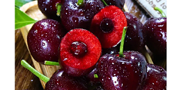 智利水果业者：车厘子在华成功经验，助西梅树立优质水果形象