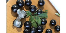 巴西鲜食葡萄有望年底前准入中国