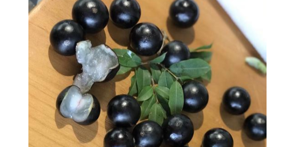 微信截图_20230410083519