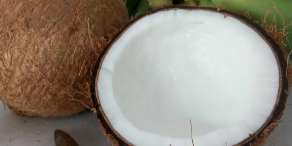 微信截图_20230410083925