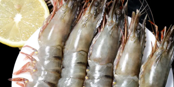 微信截图_20230105105345