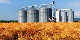 欧洲小麦市场：波兰等五国要求限制进口乌克兰谷物