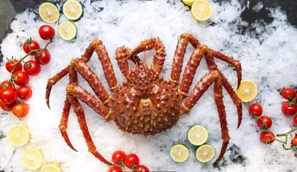 俄罗斯螃蟹滞留国内，价格下跌近50%