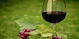 2023“丘山论酒”大会在山东蓬莱成功举办