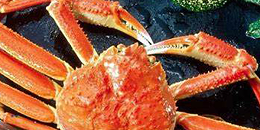 十月中旬，美国阿拉斯加帝王蟹产季重新开放