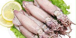 阿根廷鱿鱼捕捞产量增长，规格有所改善