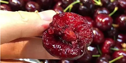 中国高需求推动 智利车厘子种植园面积22年间暴涨18倍