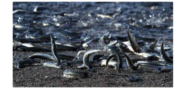 微信截图_20230322084630