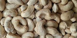 科特迪瓦腰果产量突破百万吨大关