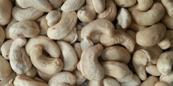 微信截图_20230224083836