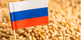 俄联邦统计局明确指出2022年俄粮食和小麦收成分别为1.577亿吨和1.042亿吨
