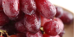 南非提子产量评估出炉，主产区产量面临挑战