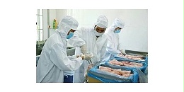 进口肉类产品清关查验监管